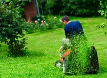 Kwikfynd Lawn Mowing
myall